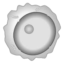 Macrophage Icon