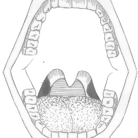 Tonsil Icon