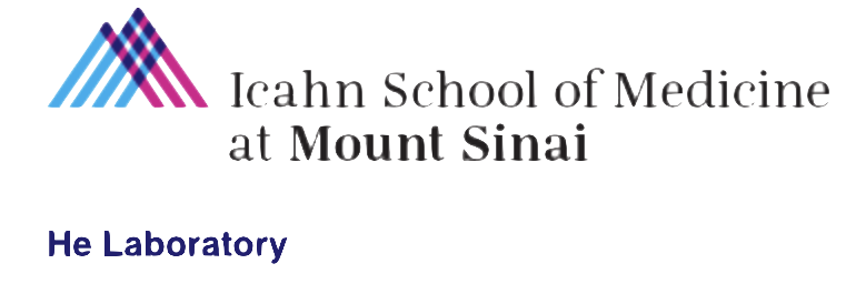 Icahn School of Medicine at Mount Sinai Center of Bioinformatics logo