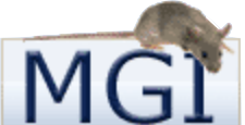 MGI